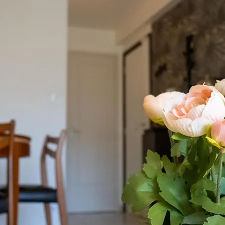 Et Cosy, A 100m De La Avec Terrasse Apartment Cannes